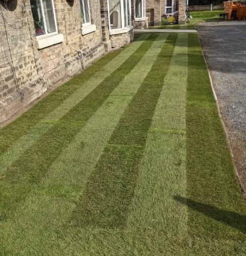 343273407_6174801335938761_2659071089701635576_n 343273407_6174801335938761_2659071089701635576_n